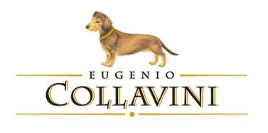 logo2
