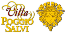 logo_vps_hor_gold